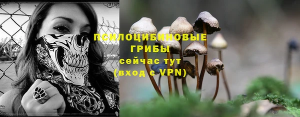 ECSTASY Липки