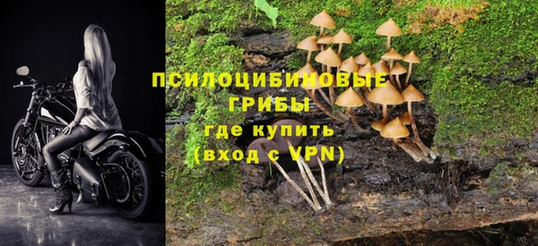 MDMA Premium VHQ Ладушкин