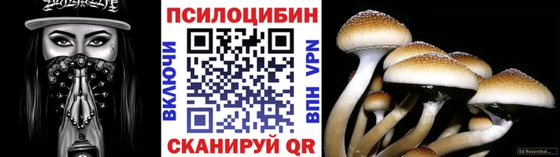 Галлюциногенные грибы Psilocybe  Купить где  Красноуфимск 