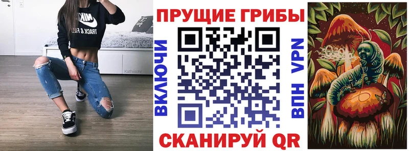 Псилоцибиновые грибы Psilocybine cubensis Красноуфимск